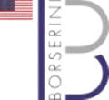 Borserini Industrial Trading LLC
