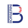 Logo_Borserini LLC